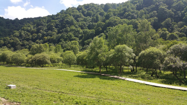 草原牧场