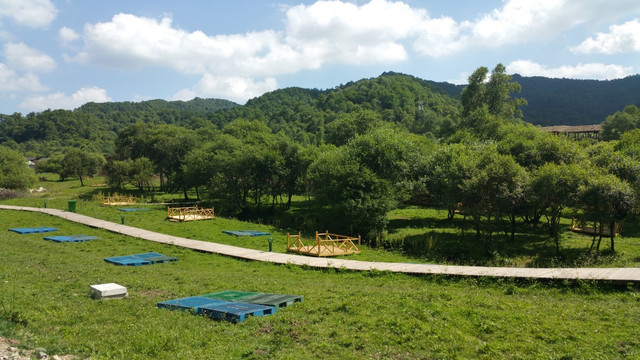 草原牧场