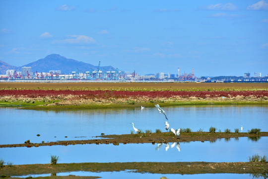 北戴河湿地公园