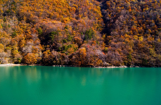 松坪沟