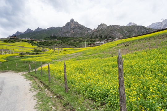 扎尕那景区 扎尕那村