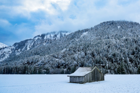 雪山 木屋 森林