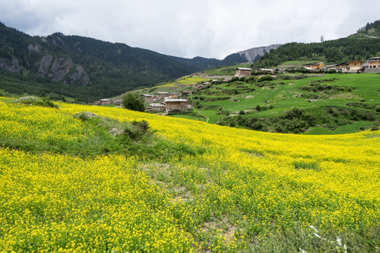 扎尕那景区 扎尕那村