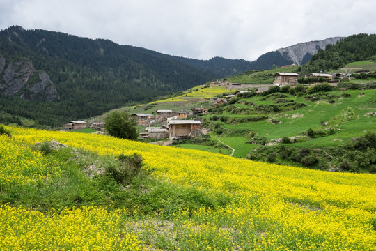 扎尕那景区 扎尕那村