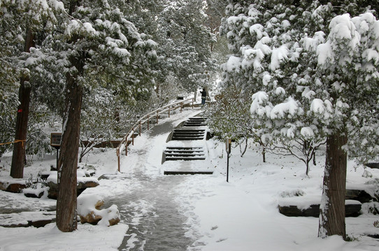 景山公园雪景