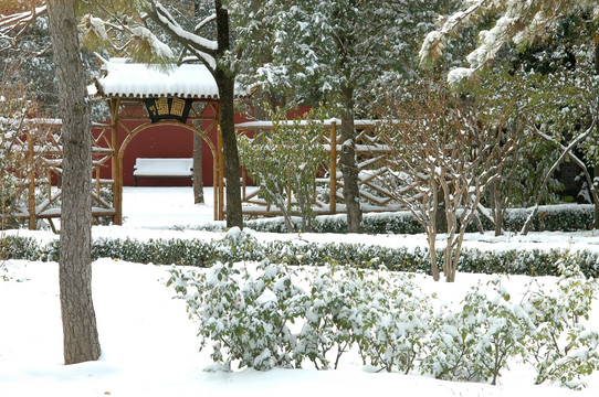 景山公园雪景