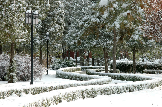 景山公园雪景