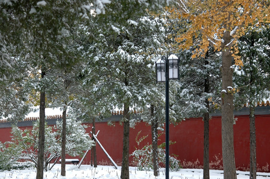 景山公园雪景