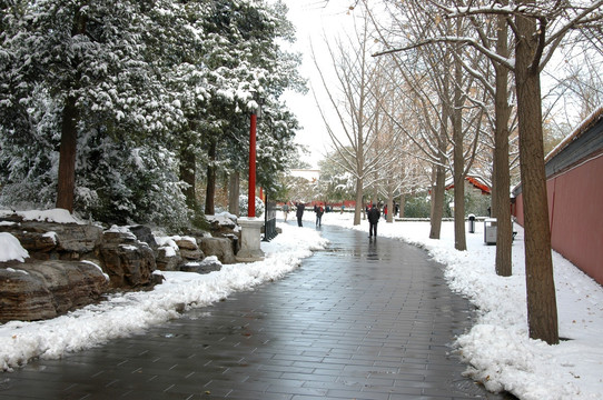 景山公园雪景