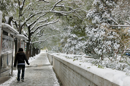 北京街头雪景