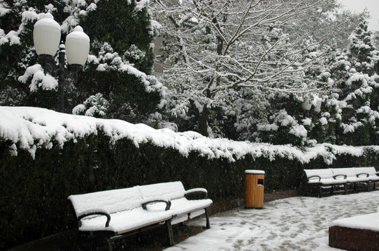 皇城根公园雪景