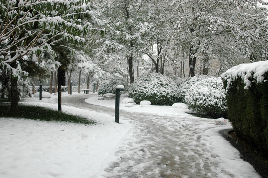 皇城根公园雪景