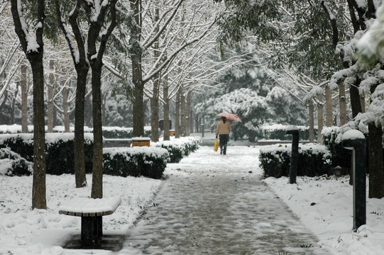 皇城根公园雪景