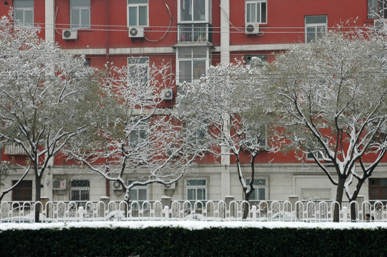 北京街头雪景