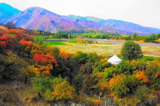 风景画