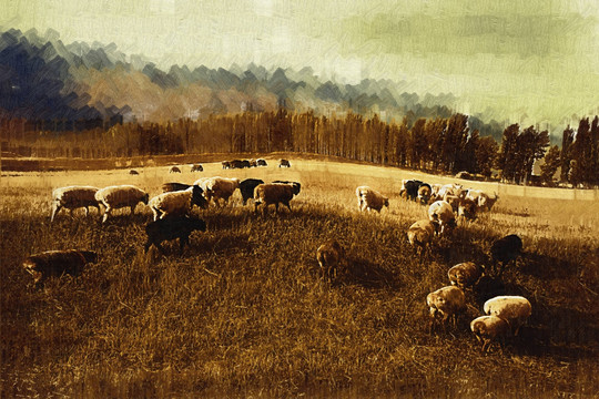 风景画