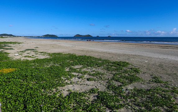 阳西 南山海