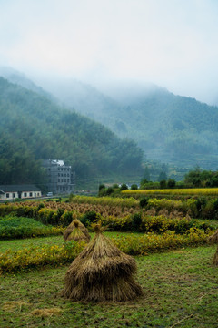 白际