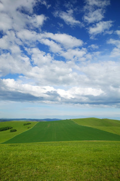 田野景观