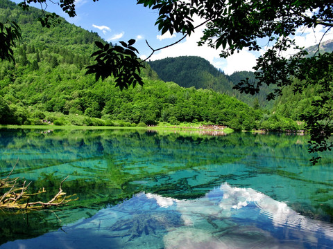 九寨沟五花海风光摄影