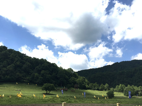 草原牧场