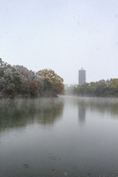 北大校园风光未名湖博雅塔雪景