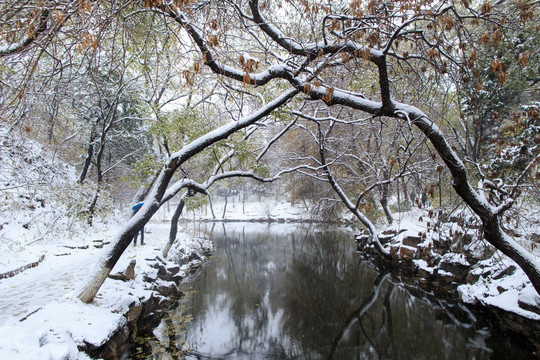 北京大学校园风光未名湖冬天雪景