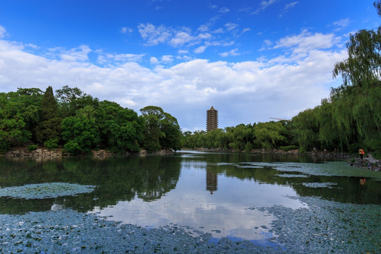 北京大学校园风光未名湖博雅塔