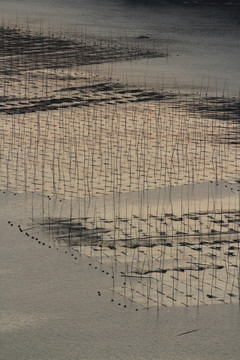 福建霞浦