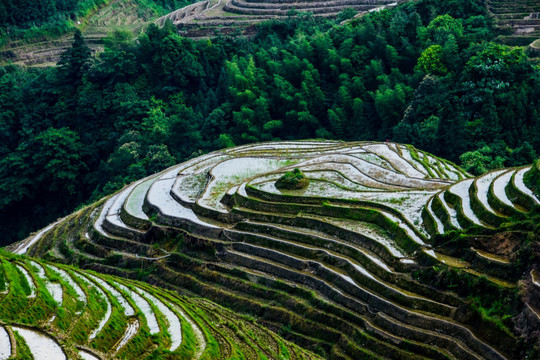 龙脊梯田