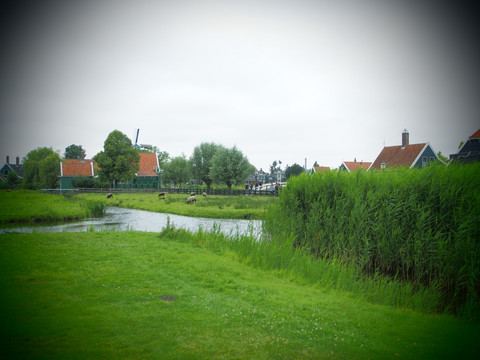 荷兰 风车村