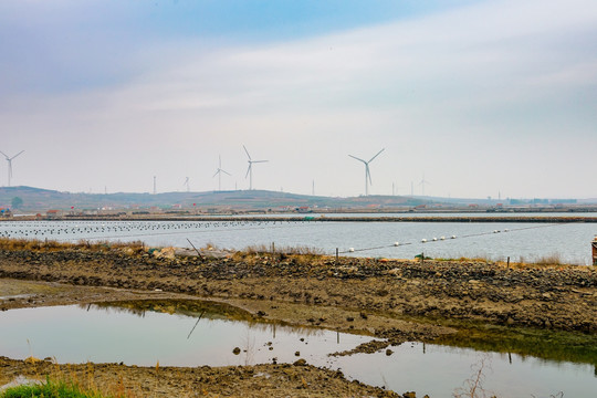 海水养殖 风力发电