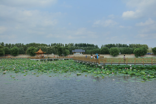 哈尔滨太平湖