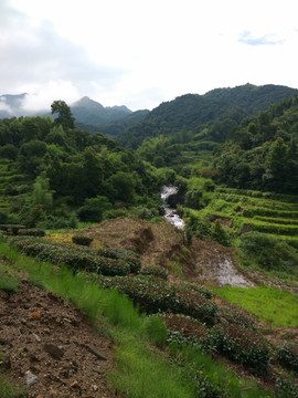 山 山林 山里 山村