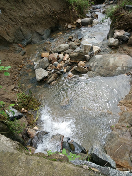 溪流 河流 小溪 小河