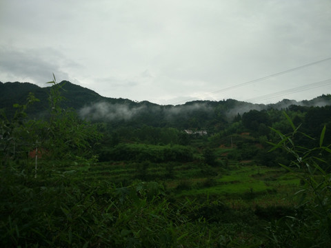 山 山林 山里 山村