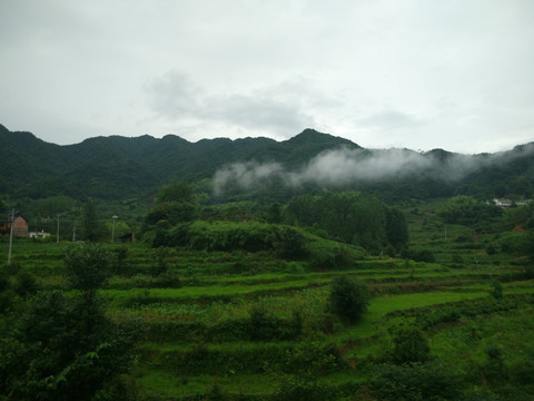 大山 山林 白云