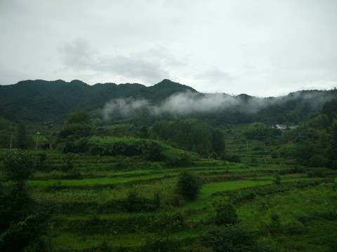 大山 山林 白云