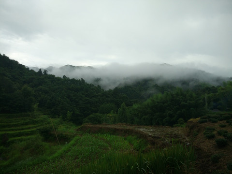 山 大山 云雾