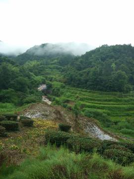 山 大山 云雾
