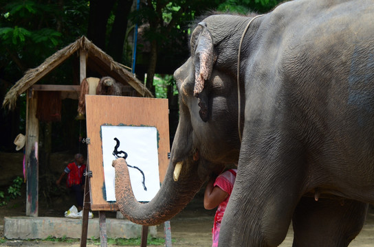 大象画画