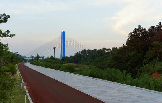城市绿化