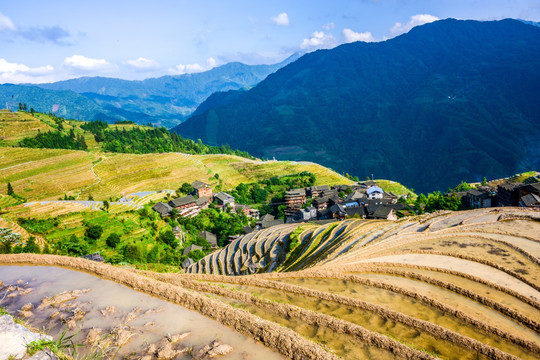 阳光梯田