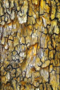 抽象底纹背景 树皮纹