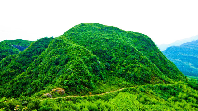 一座青山 山丘