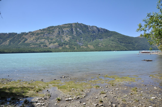 青山绿水