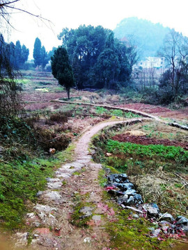 乡间小路