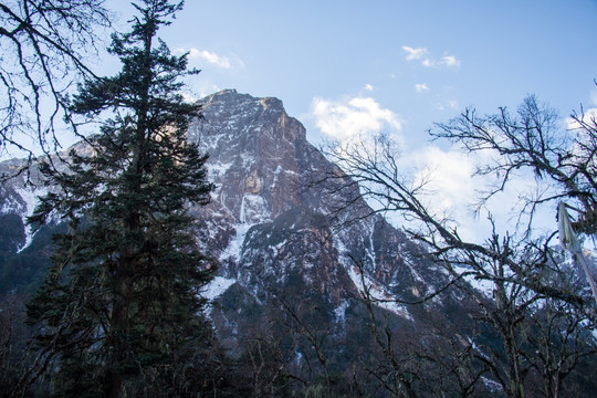 森林雪山