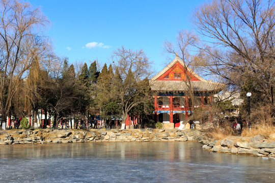 北大校园冬景未名湖红四楼备斋