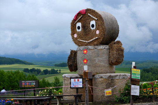 北海道四季彩之丘农场稻草人